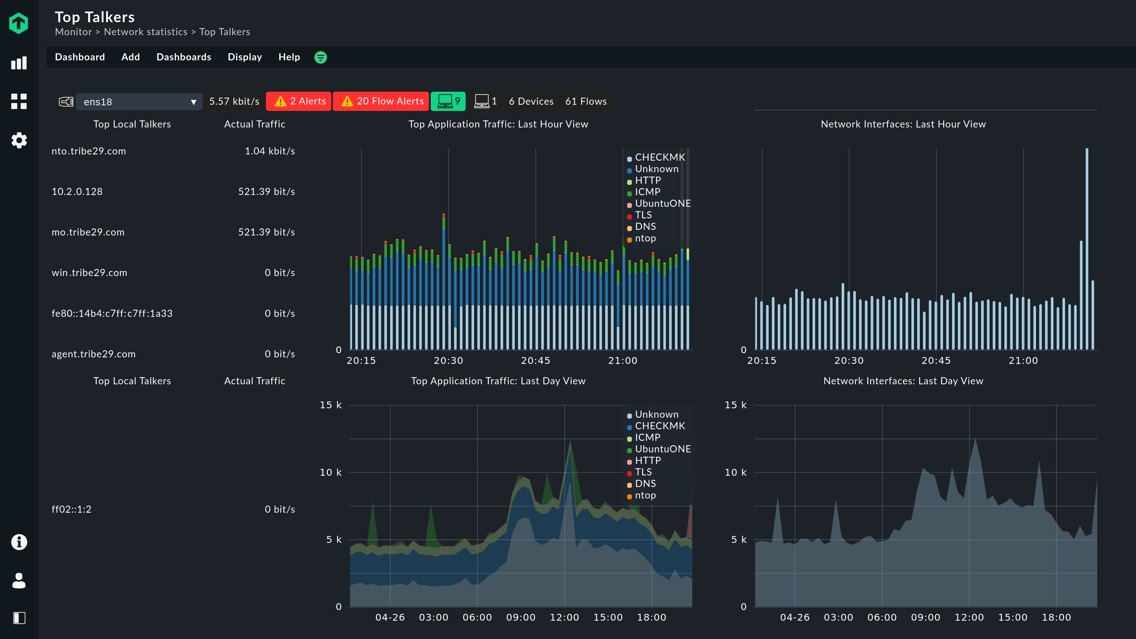 Screenshot zeigt NetFlow Statistiken