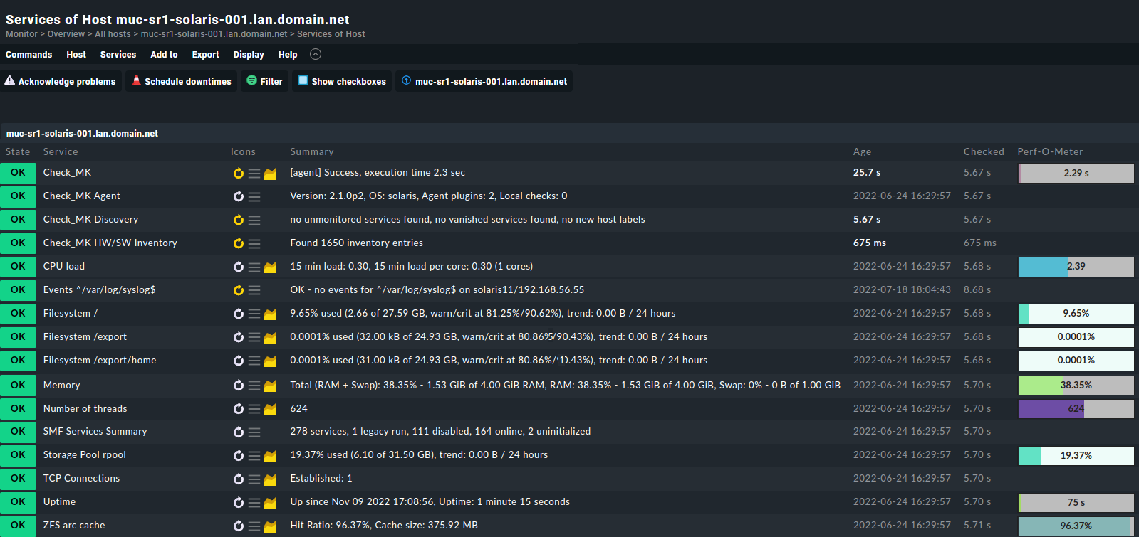 Checkmk screenshot of a Solaris host