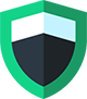 IT security icon