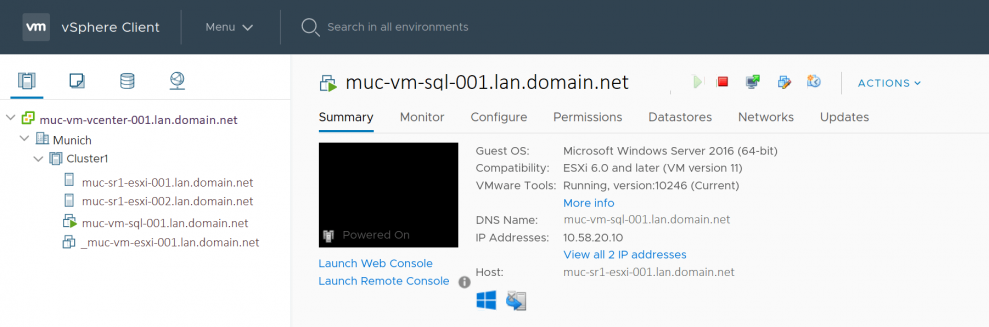 Screenshot des VMware Client mit VMs