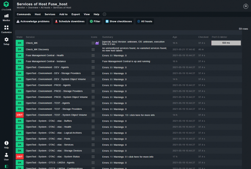 OpenText services in the Fuse host