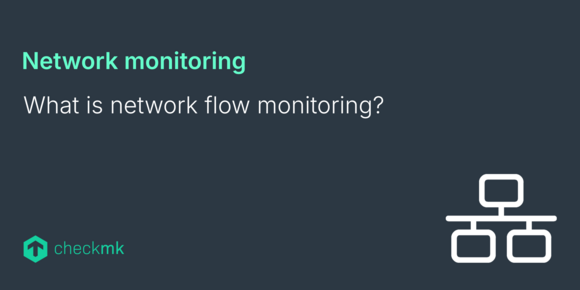 Network flow monitoring